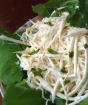 Салат из сельдерея стеблевого: рецепты